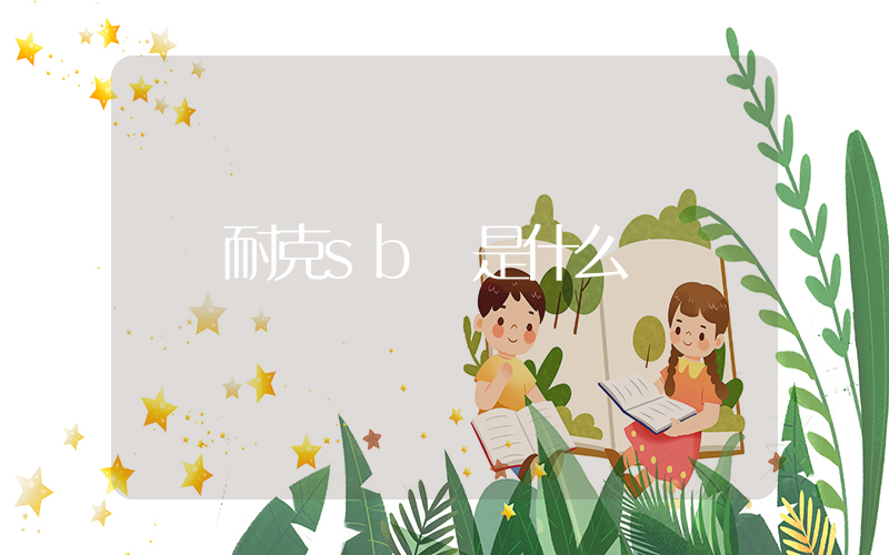 耐克sb 是什么插图